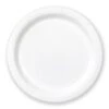 Paper Party Plates White (x20)
