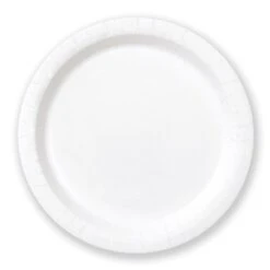 Paper Party Plates White (x20)