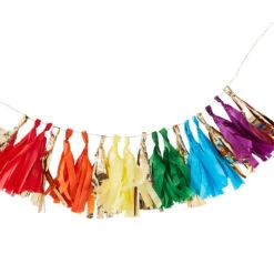 Rainbow Party Tassel Garland Kit