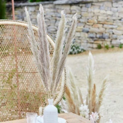 Natural Pampas Grass Decorations (x5)