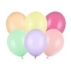 Rainbow Pastel Latex Balloon Mix (x10)