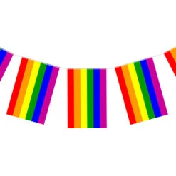 Pride Rainbow Flag Bunting (7m)