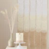 Paper Disc Backdrop - Neutral Ombre
