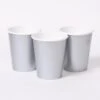 Value Pack - Paper Cups Silver (x70)