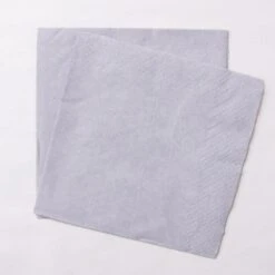 Paper Party Napkins Silver (x20)