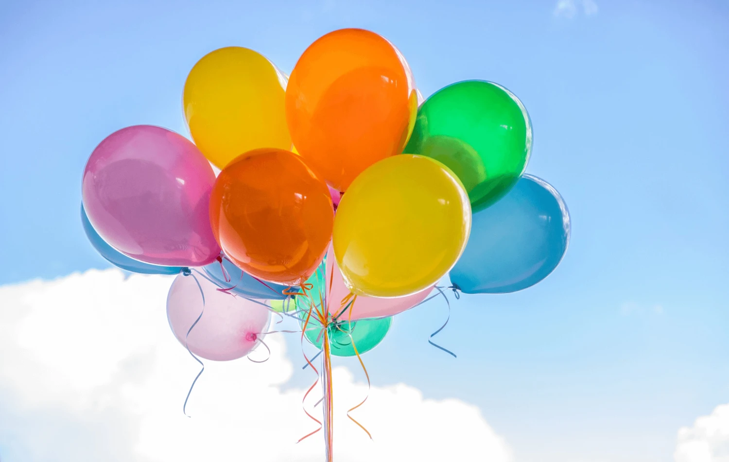 Decorations Party Shop -Decorations Party Shop W2A5880